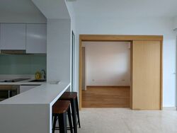 Eight Riversuites (D12), Condominium #595193791